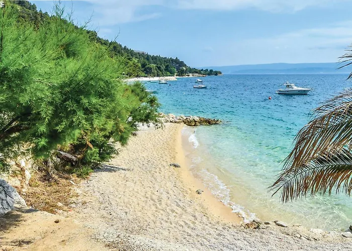 Xix Διαμέρισμα *